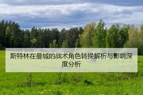 斯特林在曼城的战术角色转换解析与影响深度分析